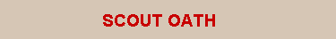 Description: Description: The Scout Oath