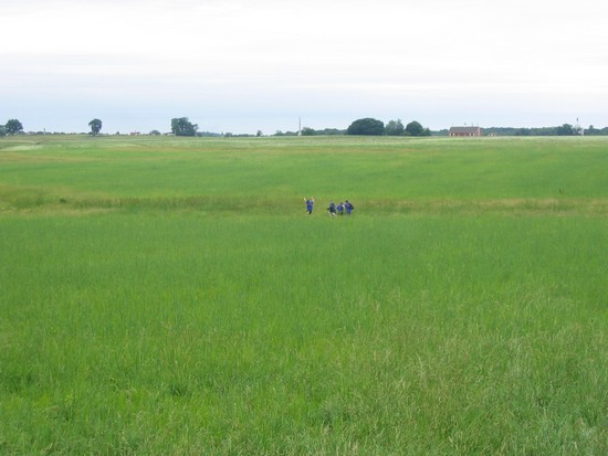 425.JPG