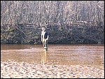 nov_142.jpg