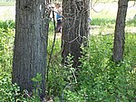 canoe2_247.jpg