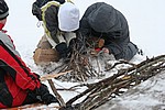 IMG_0017.jpg