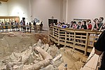 130.jpg