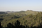 580.jpg