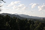 590.jpg