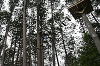 Description: _MG_5026.JPG