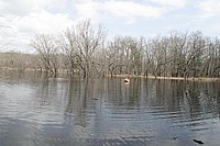 _MG_1683.JPG