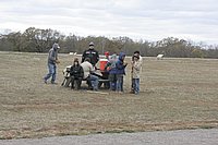 _MG_2066.JPG